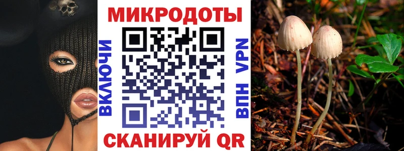 Псилоцибиновые грибы Psilocybine cubensis  Углич 